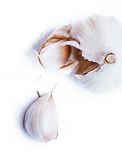 garlic